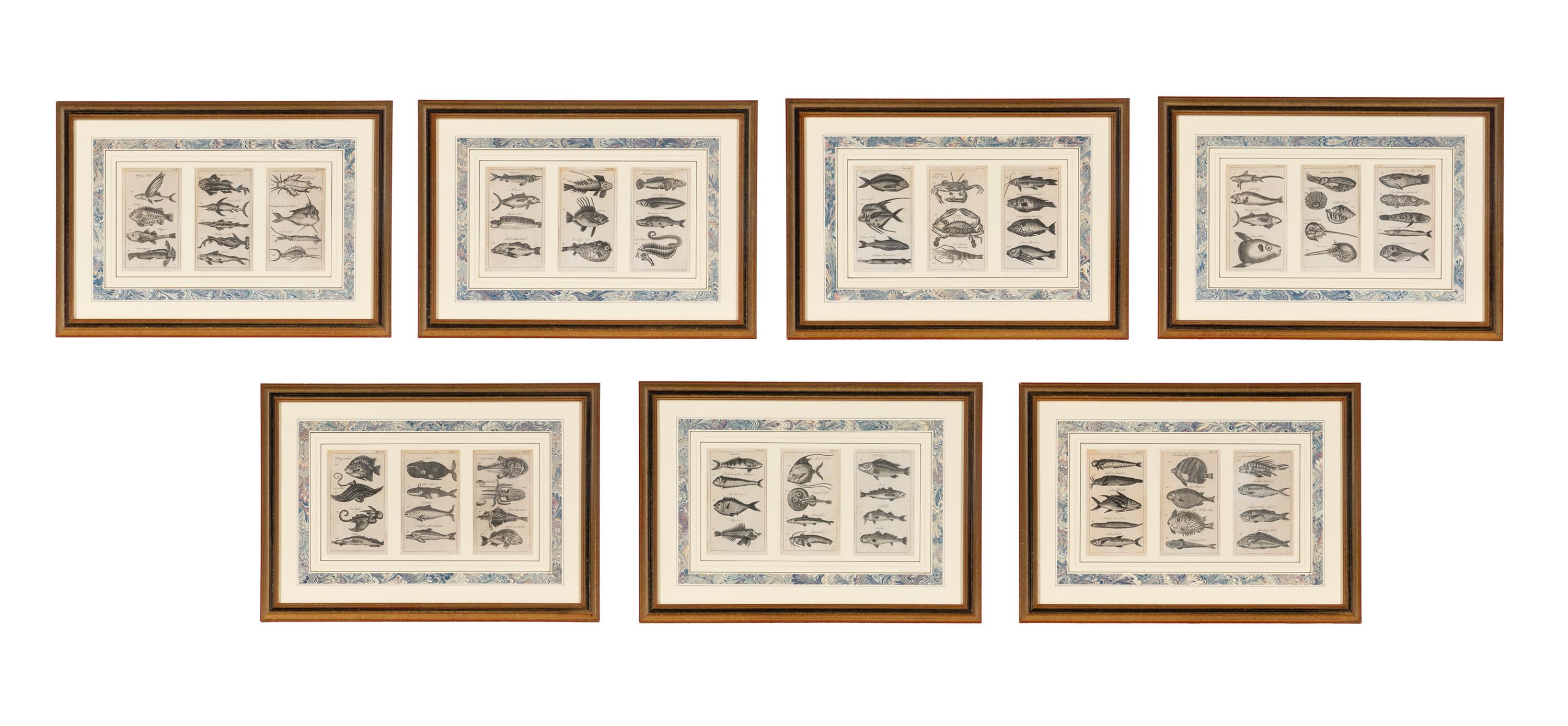 A Set of Seven Framed Groups of Ichthyological Engravings