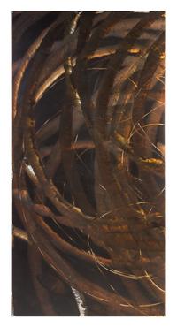 Aaron Young, (American, b. 1972), Burnout (Locals! Beware), 2007 (triptych)