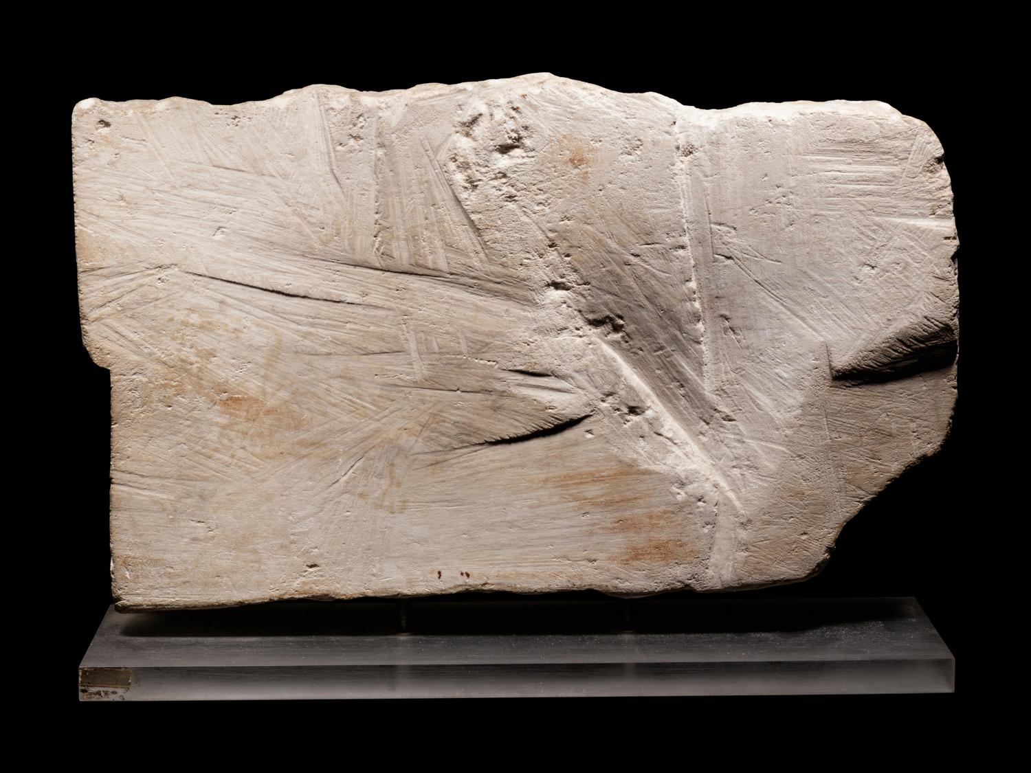 An Egyptian Limestone Relief Fragment