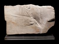 An Egyptian Limestone Relief Fragment