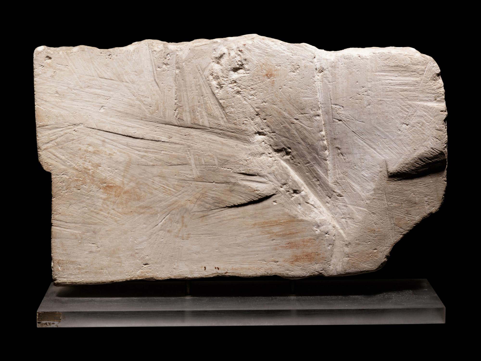 An Egyptian Limestone Relief Fragment