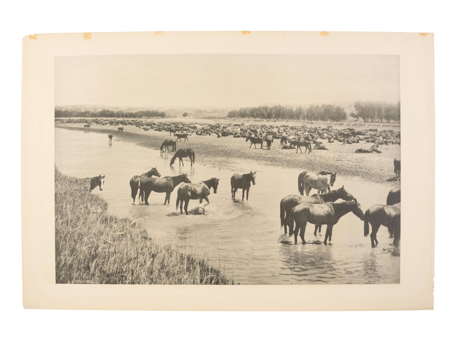 HUFFMAN, Laton Alton (1854-1931), photographer. 2 photogravures of horse and sheep in Montana.