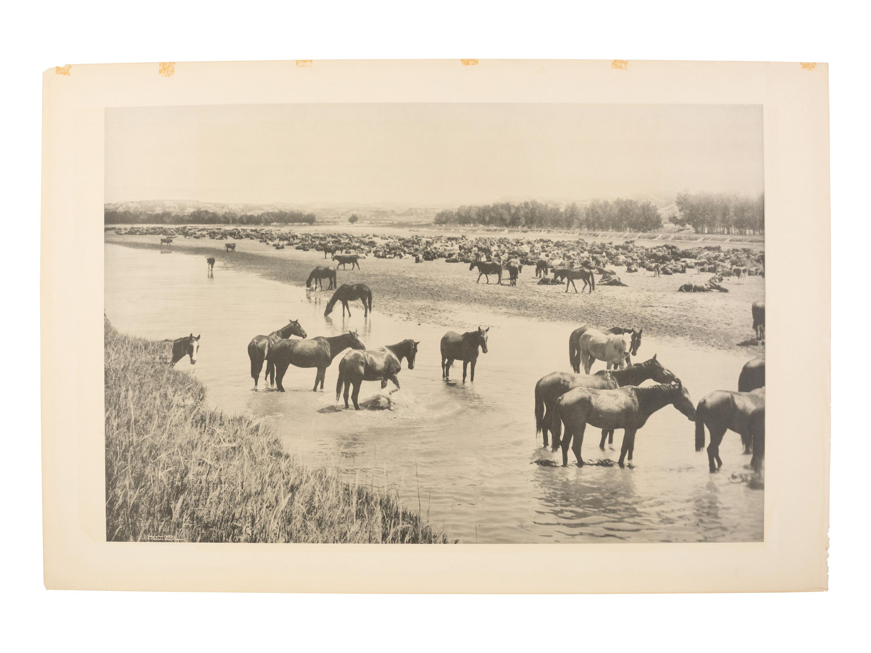 HUFFMAN, Laton Alton (1854-1931), photographer. 2 photogravures of horse and sheep in Montana.