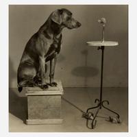William Wegman (American, B. 1943) Contemplating the Bust of Man Ray (Plate VI from Man Ray: A Portfolio of 10 Photographs)