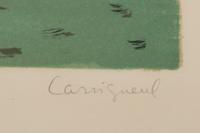 Le renard gris