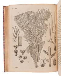 ELLIS, John (1710-1776). An Essay towards a Natural History of the Corallines and other Marine Productions...Commonly Found on the Coasts of Great Britain and Ireland. London: for the author, 1755.
