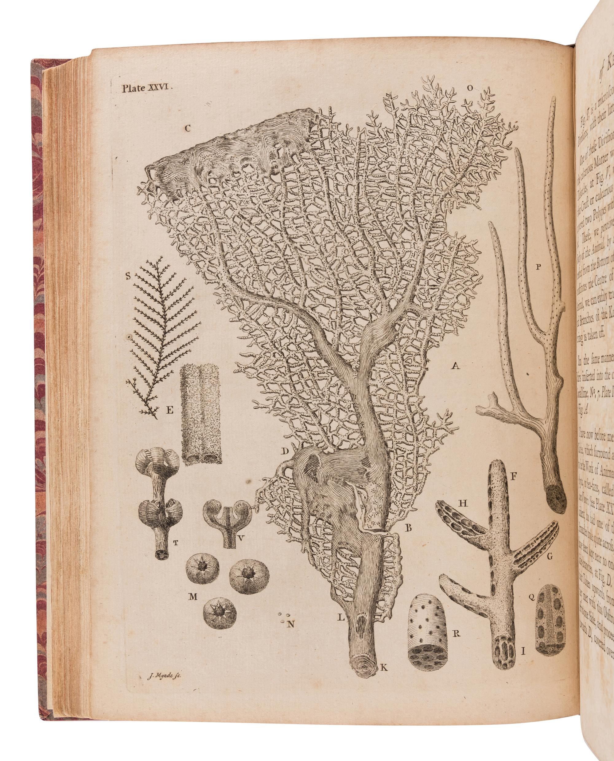 ELLIS, John (1710-1776). An Essay towards a Natural History of the Corallines and other Marine Productions...Commonly Found on the Coasts of Great Britain and Ireland. London: for the author, 1755.