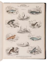 [NATURAL HISTORY]. JARDINE, William (1800-1874). Leaves from the Book of Nature, Containing the Principal Illustrations in Jardine's Naturalist's Library . Edinburgh: W.H. Lizars; London: S. Highly; Dublin: W. Curry, [1846].