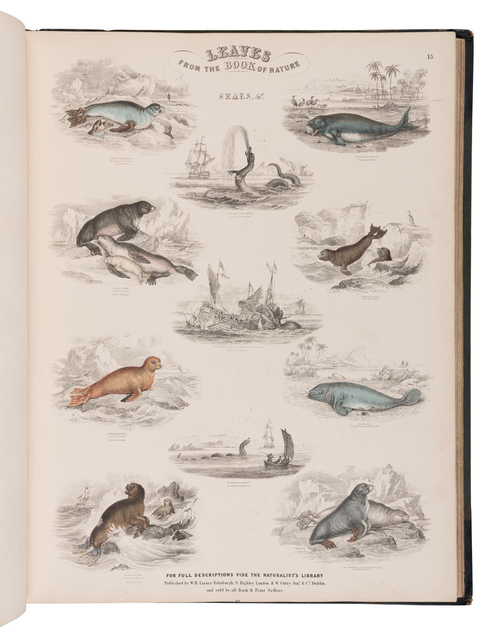 [NATURAL HISTORY]. JARDINE, William (1800-1874). Leaves from the Book of Nature, Containing the Principal Illustrations in Jardine's Naturalist's Library . Edinburgh: W.H. Lizars; London: S. Highly; Dublin: W. Curry, [1846].