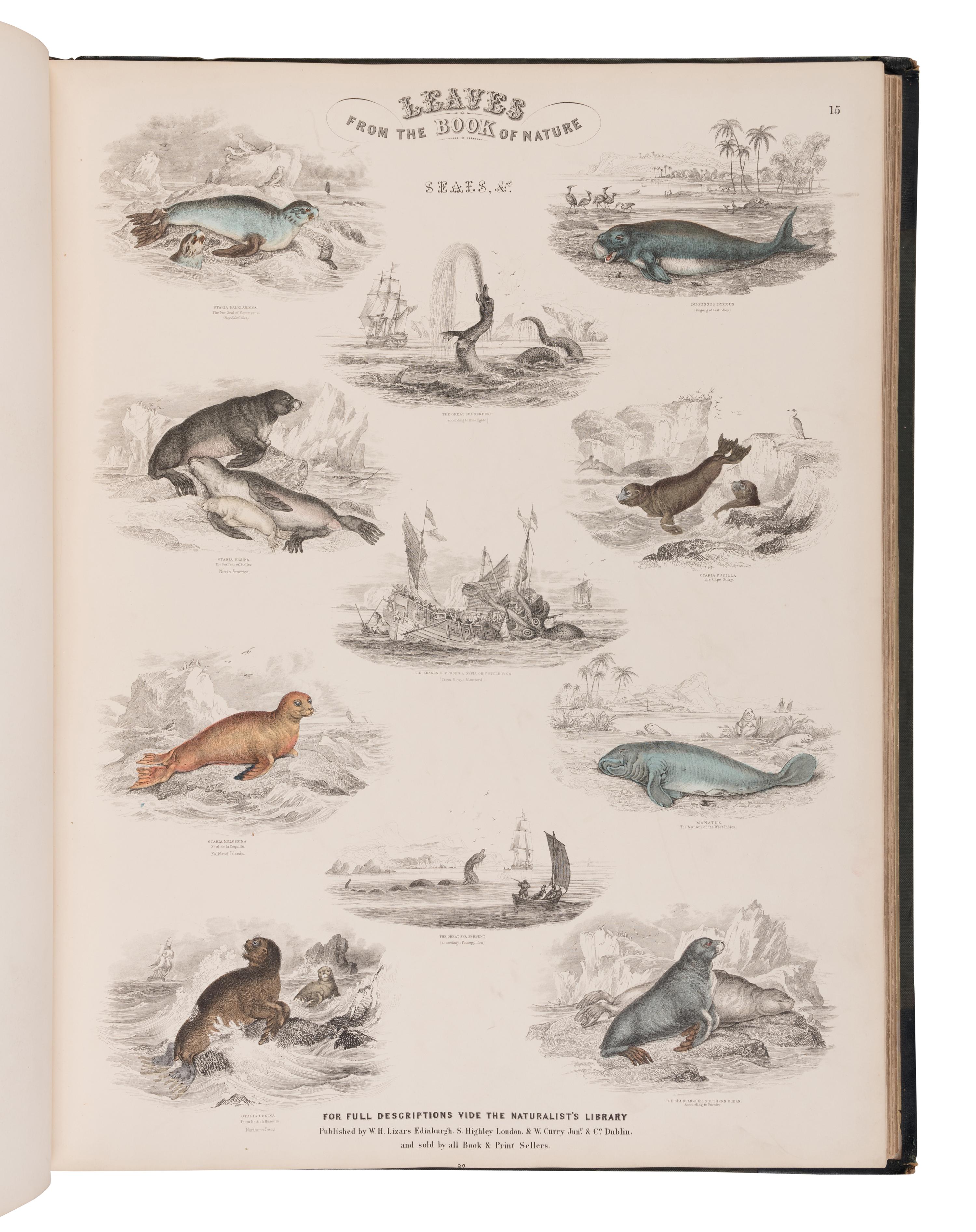 [NATURAL HISTORY]. JARDINE, William (1800-1874). Leaves from the Book of Nature, Containing the Principal Illustrations in Jardine's Naturalist's Library . Edinburgh: W.H. Lizars; London: S. Highly; Dublin: W. Curry, [1846].
