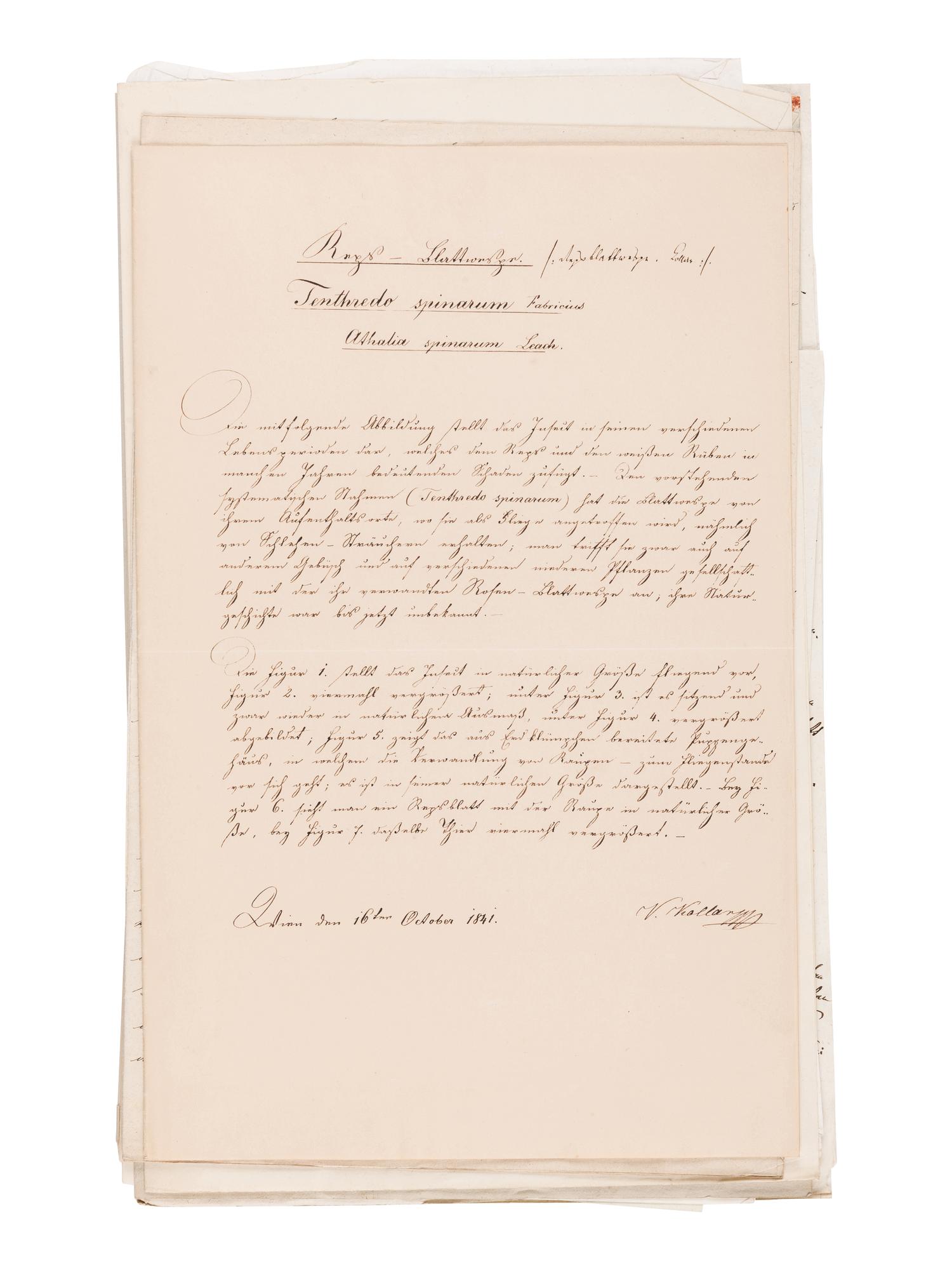 [MANUSCRIPT]. KOLLAR, Vincenz (1797-1860). "Abbildung und Beschreibung schädlicher Insecten. Ms. mit aquarellierten Handzeichnungen." [Vienna, ca 1839-1847].