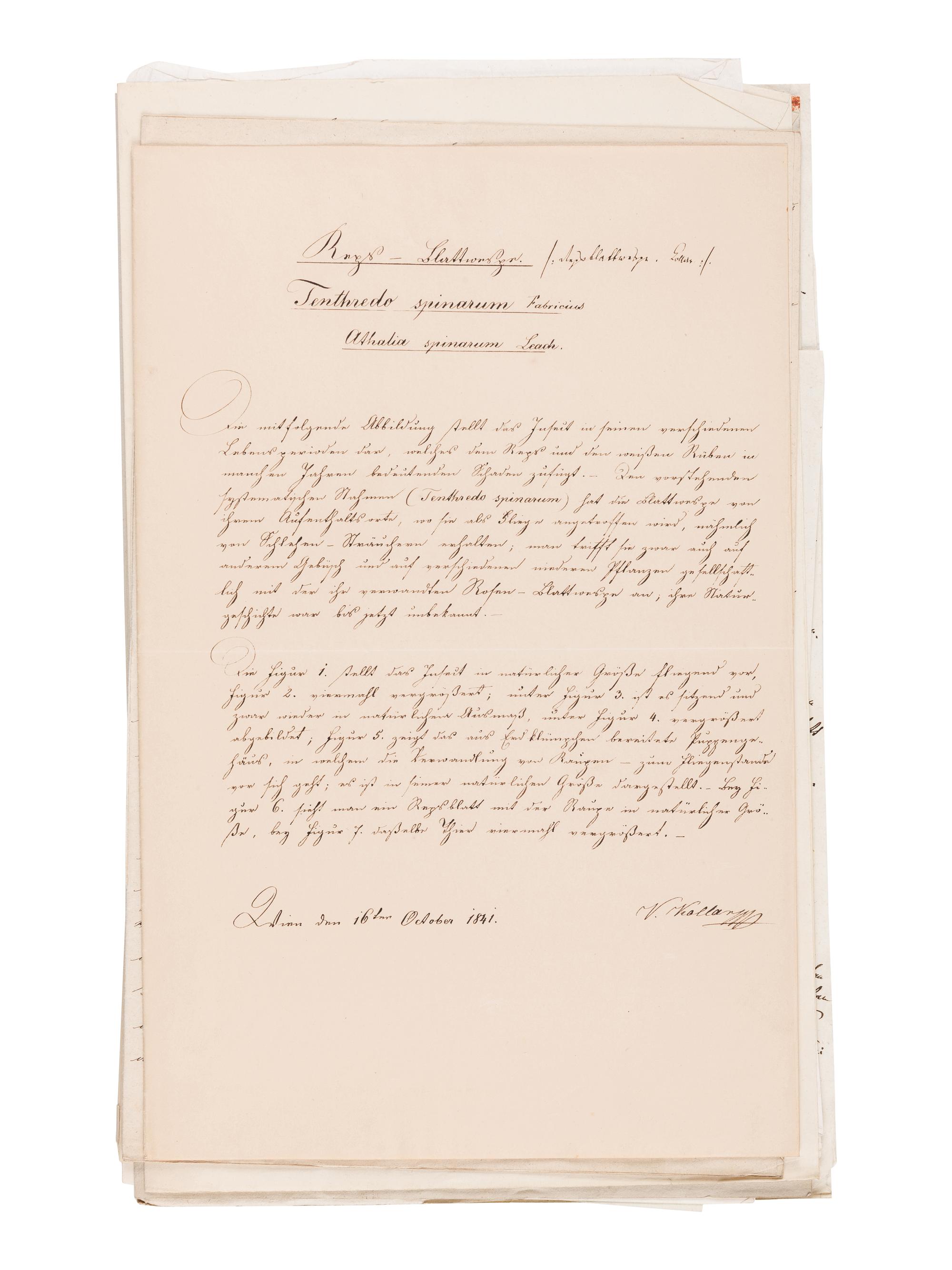 [MANUSCRIPT]. KOLLAR, Vincenz (1797-1860). "Abbildung und Beschreibung schädlicher Insecten. Ms. mit aquarellierten Handzeichnungen." [Vienna, ca 1839-1847].