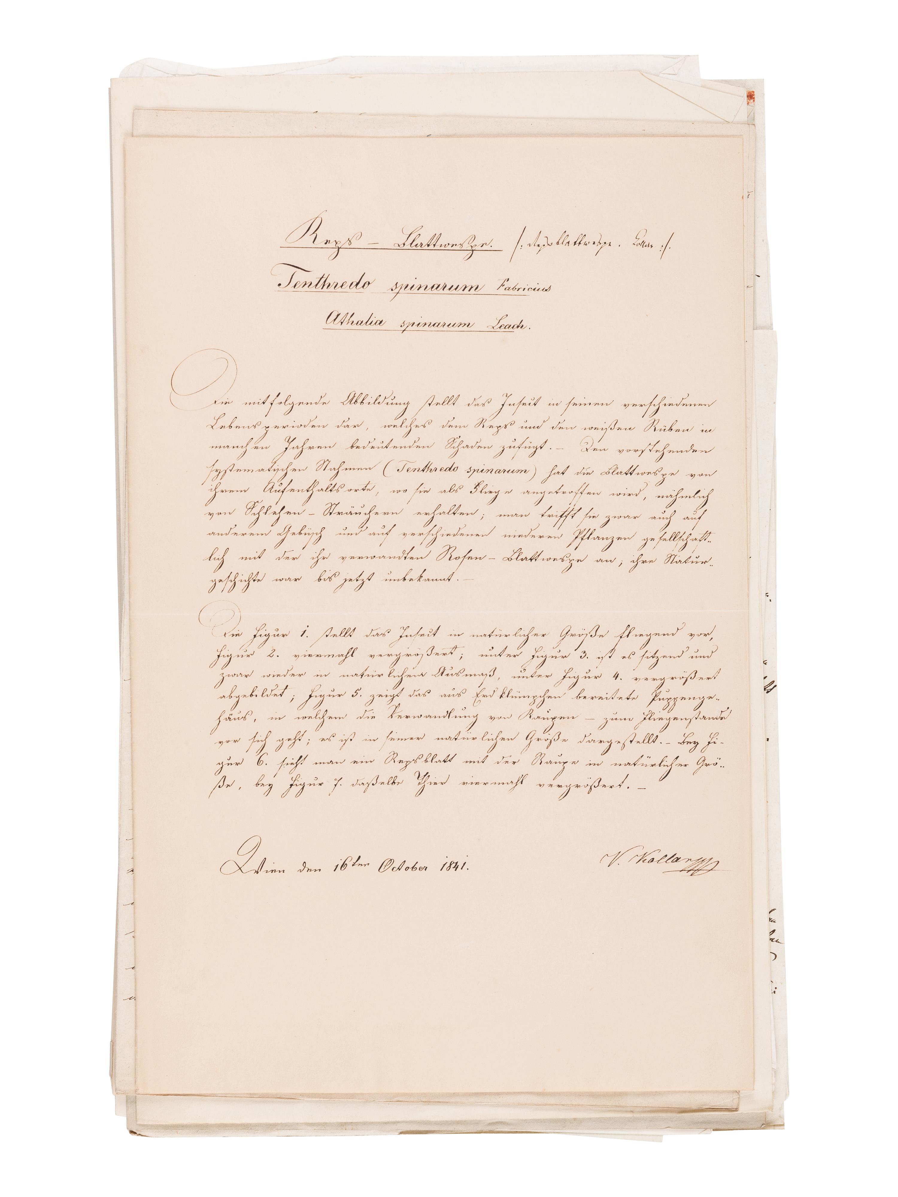 [MANUSCRIPT]. KOLLAR, Vincenz (1797-1860). "Abbildung und Beschreibung schädlicher Insecten. Ms. mit aquarellierten Handzeichnungen." [Vienna, ca 1839-1847].