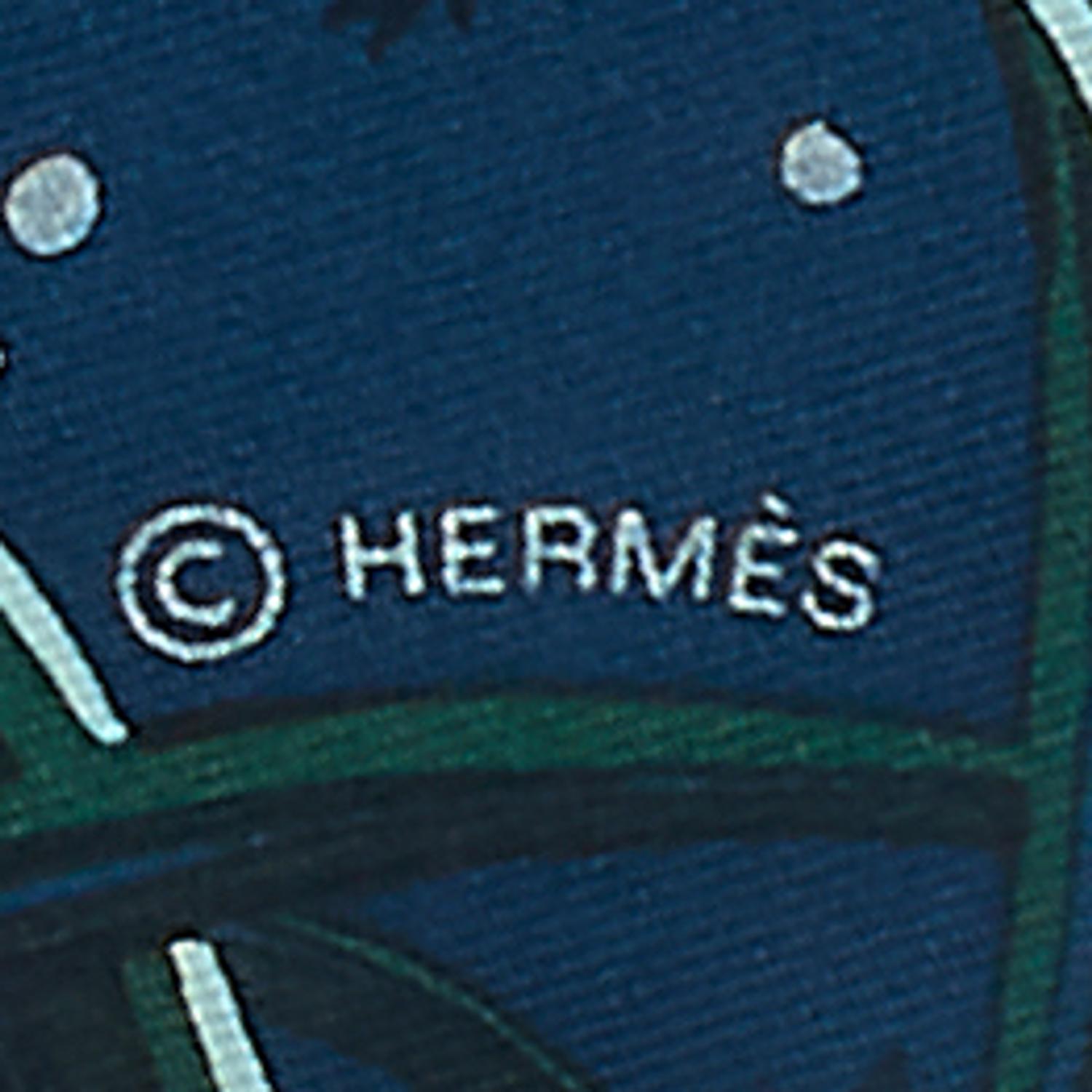 Two Hermès Scarves