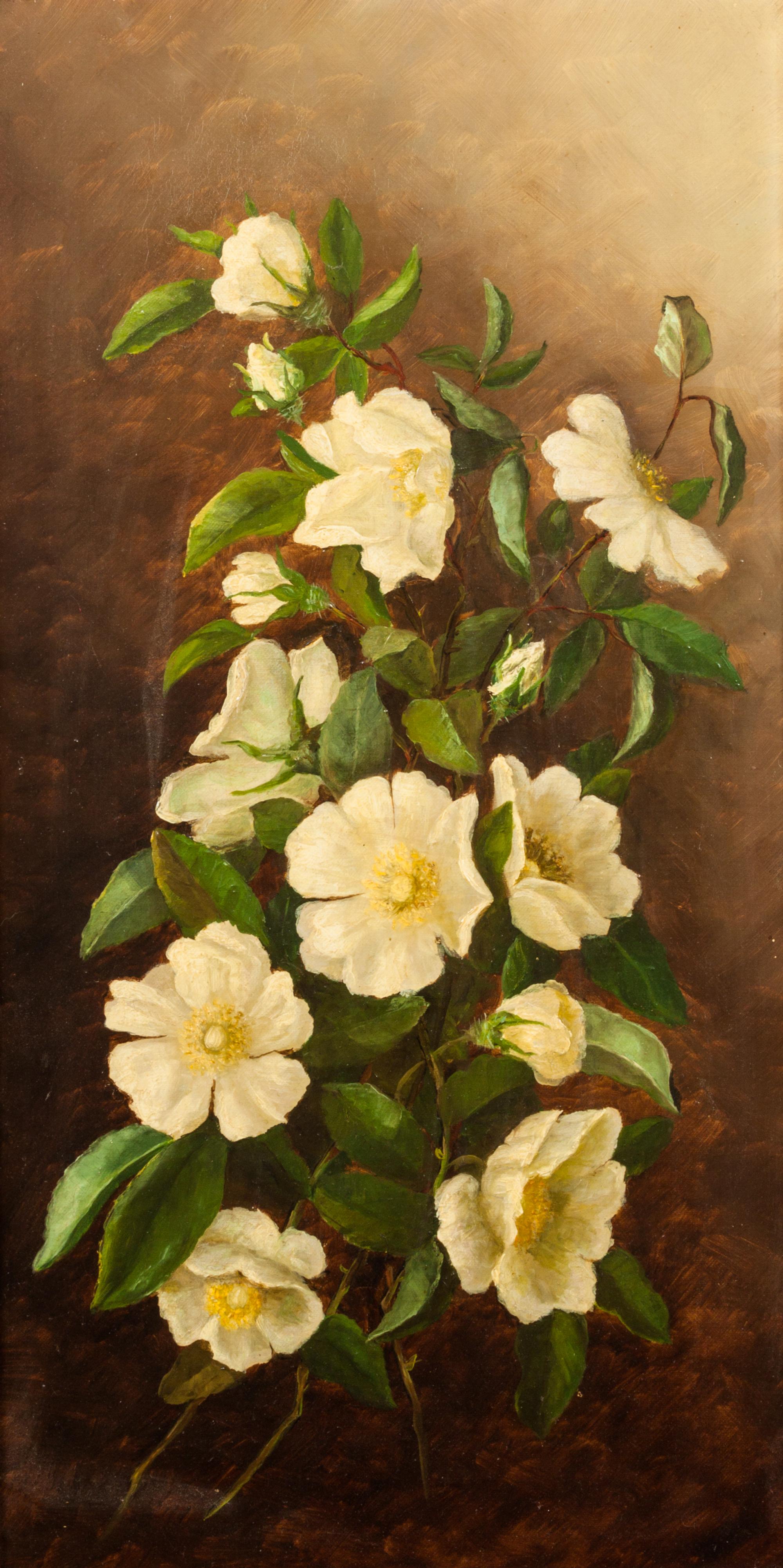 Artist Unknown, (Early 20th century), Still Life of Flowers