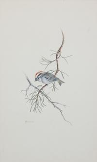 Harry J. Moeller, (Wisconsin, 1932-1996), Birds (two works)