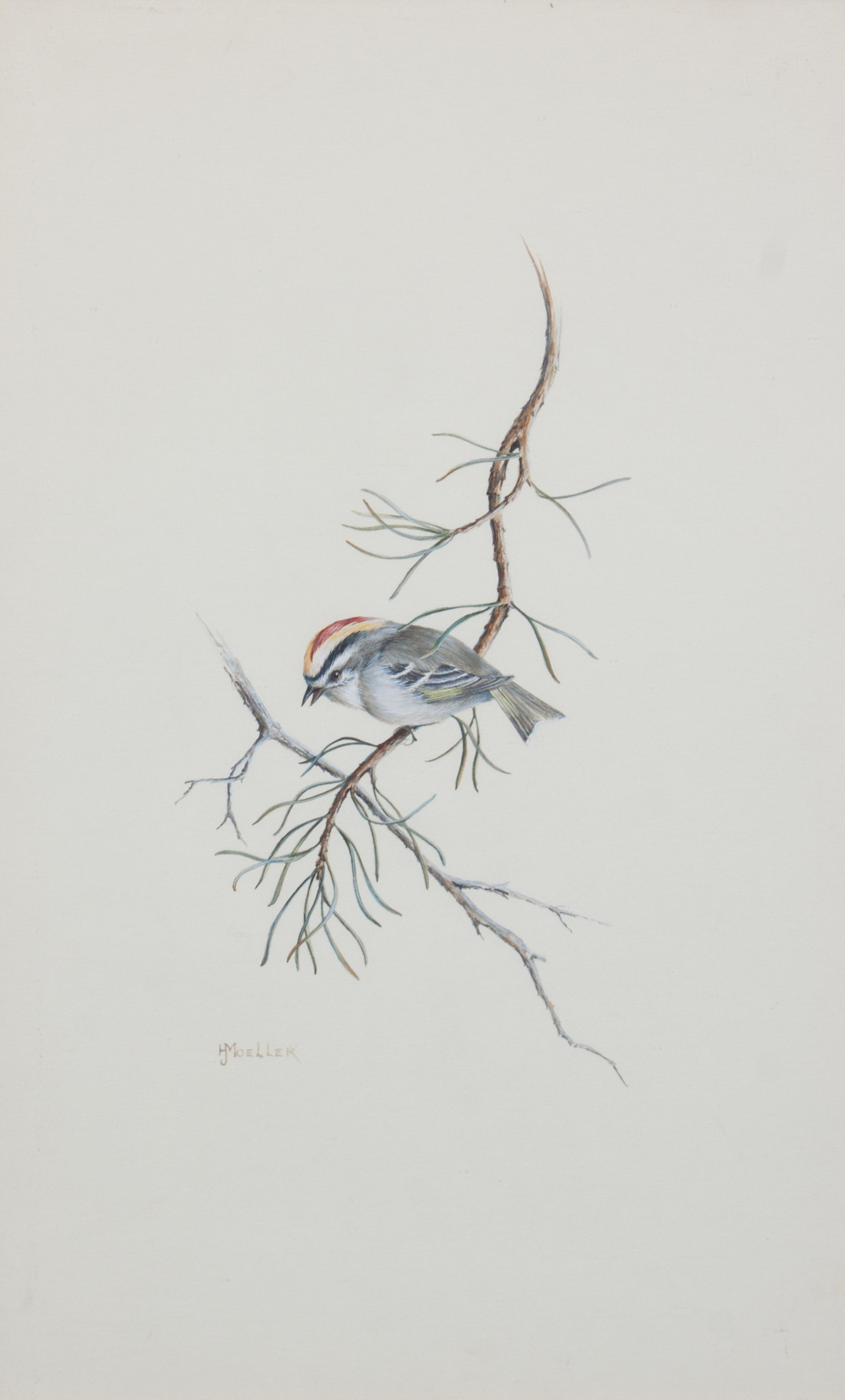 Harry J. Moeller, (Wisconsin, 1932-1996), Birds (two works)