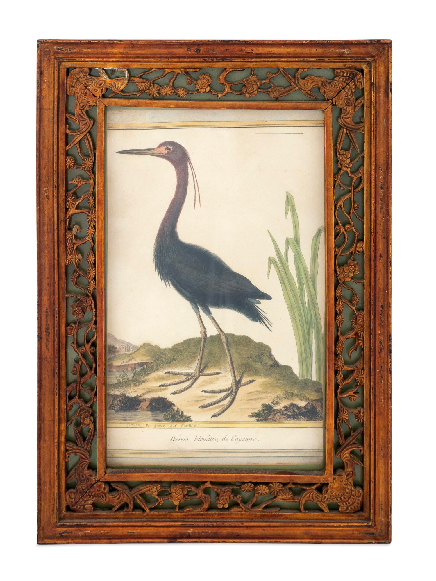 Twelve French Hand-Colored Bird Engravings — Designed and Engraved by Francois Nicolas Martinet (1731-1804); From Histoire Naturelle des Oiseaux by George-Louis Marie Leclere, Comte de Buffon; Printed at the Imprimerie Royale, 1770-1786