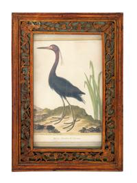 Twelve French Hand-Colored Bird Engravings — Designed and Engraved by Francois Nicolas Martinet (1731-1804); From Histoire Naturelle des Oiseaux by George-Louis Marie Leclere, Comte de Buffon; Printed at the Imprimerie Royale, 1770-1786