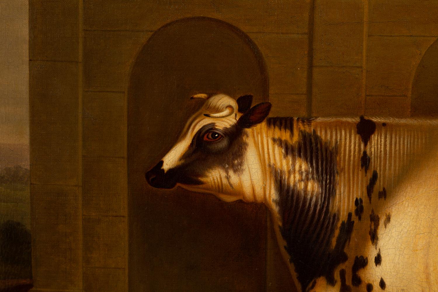 Untitled (Cow)