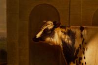 Untitled (Cow)