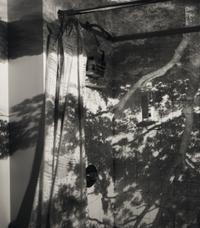 Camera Obscura: Image of a Tree in Bathroom , 1999