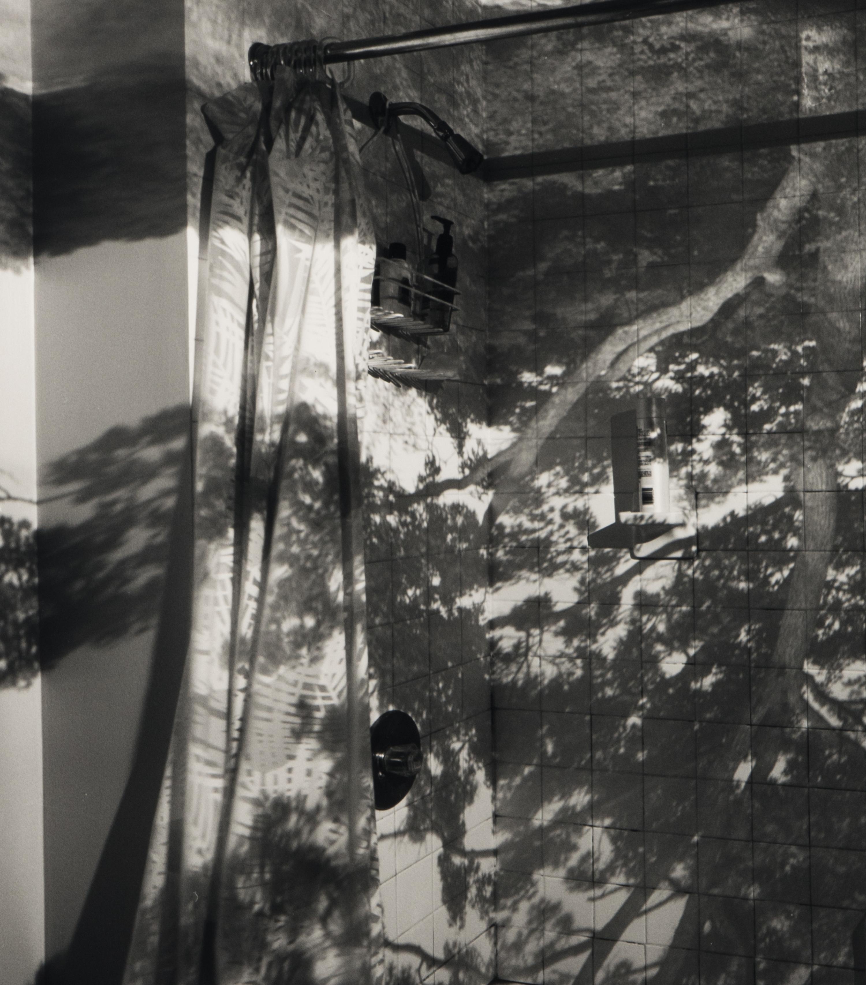 Camera Obscura: Image of a Tree in Bathroom , 1999