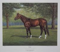 Nineteen Equestrian Prints