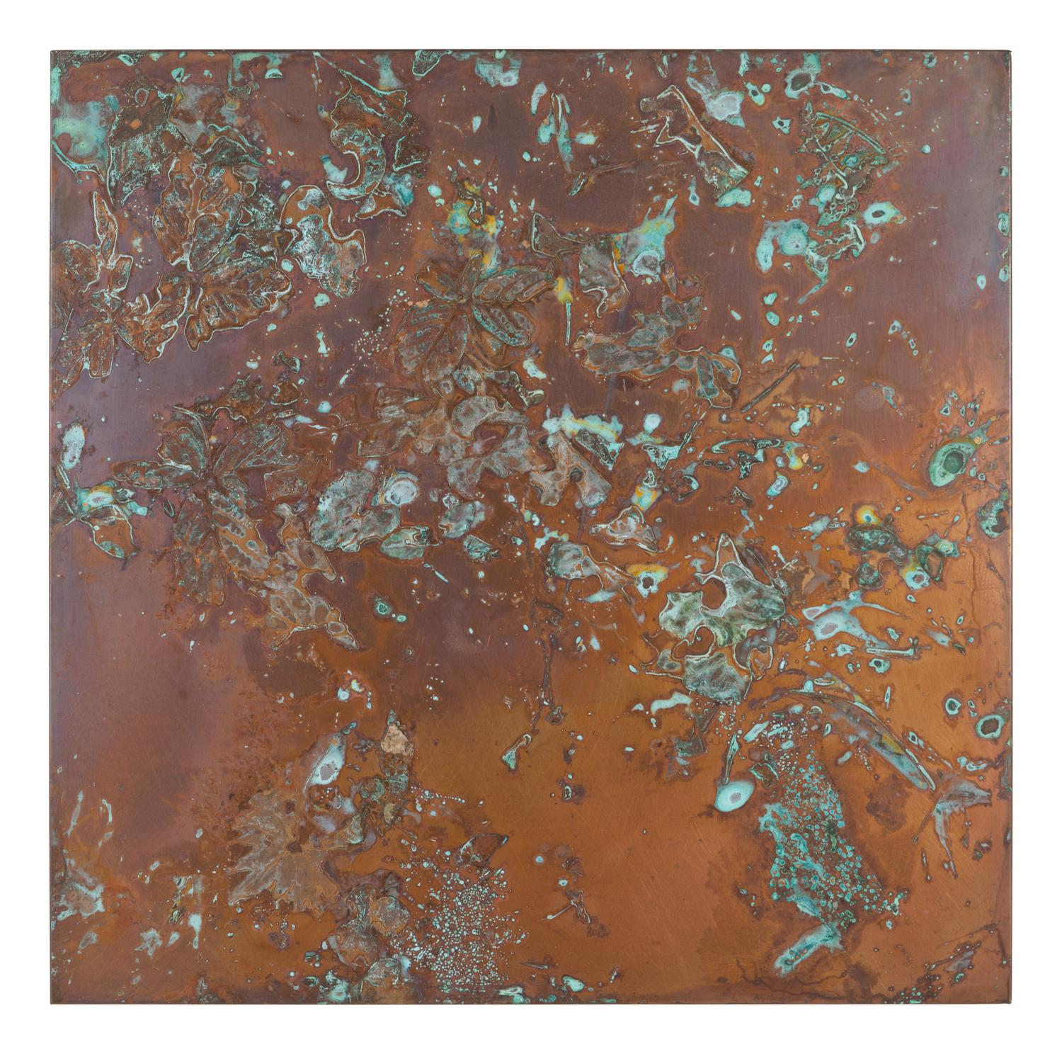 From Forest Mapping Series