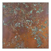 From Forest Mapping Series