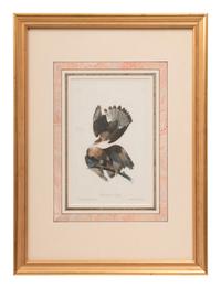 Five J.T Bowen Hand Colored Lithographs