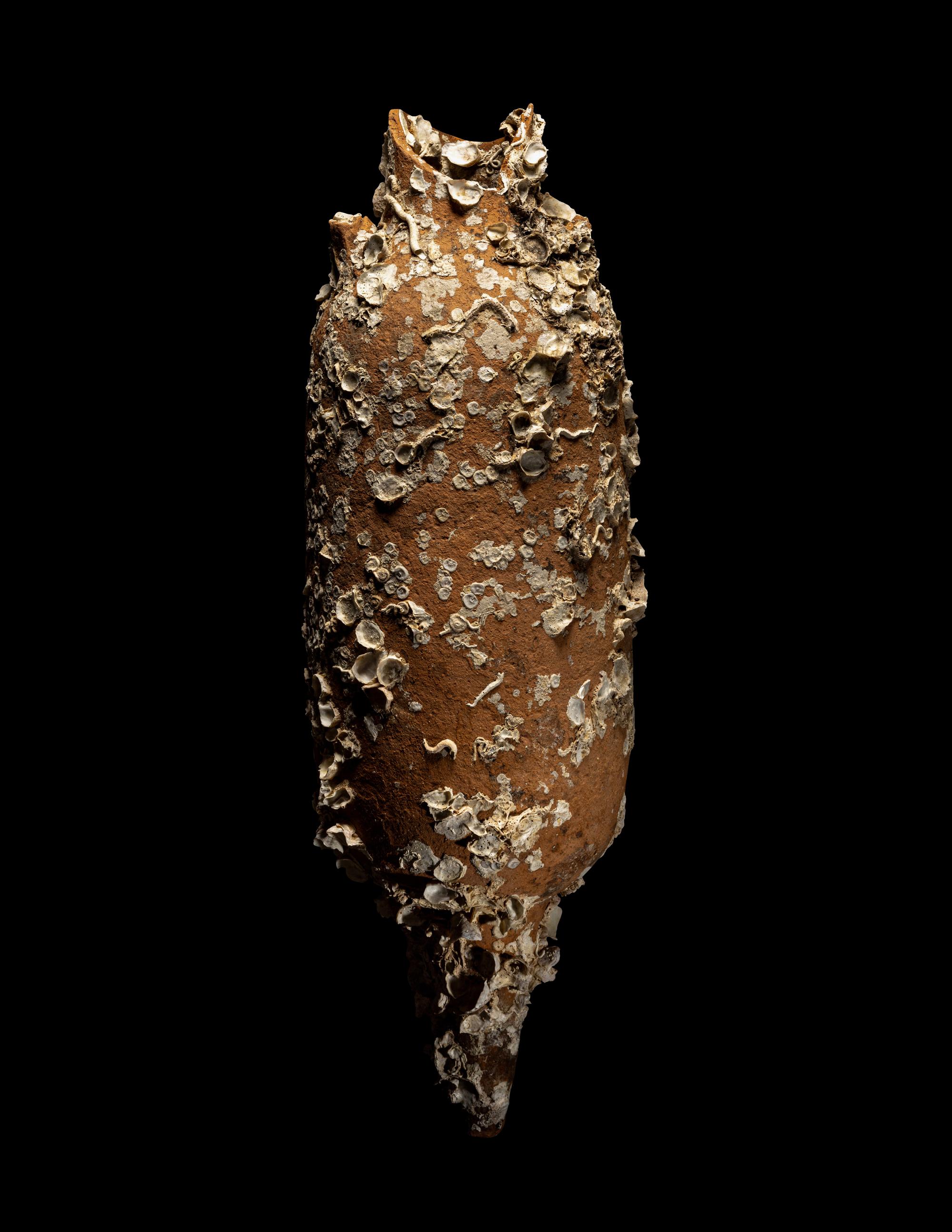 A Roman Terracotta Export Amphora with Marine Encrustation