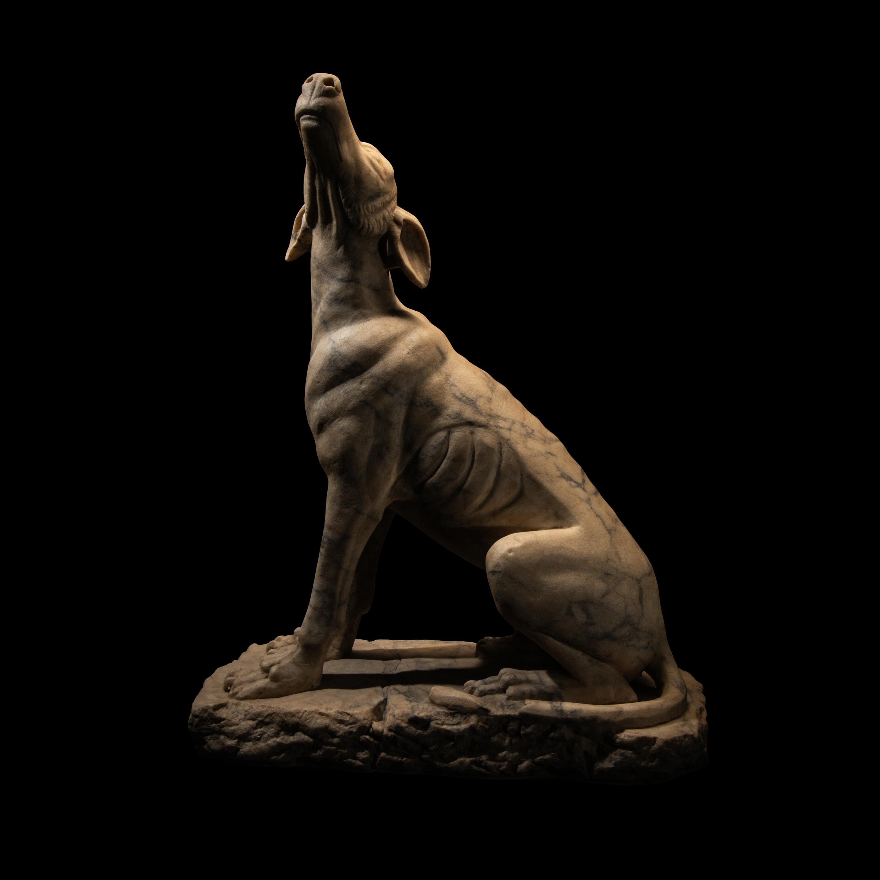 A Roman Pavonazzetto Marble Laconian Hound