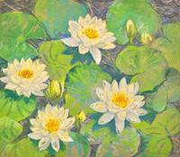Waterlilies