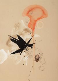 The Flowering (The Fourfold Sense), 2007 (complete portfolio of thirteen)