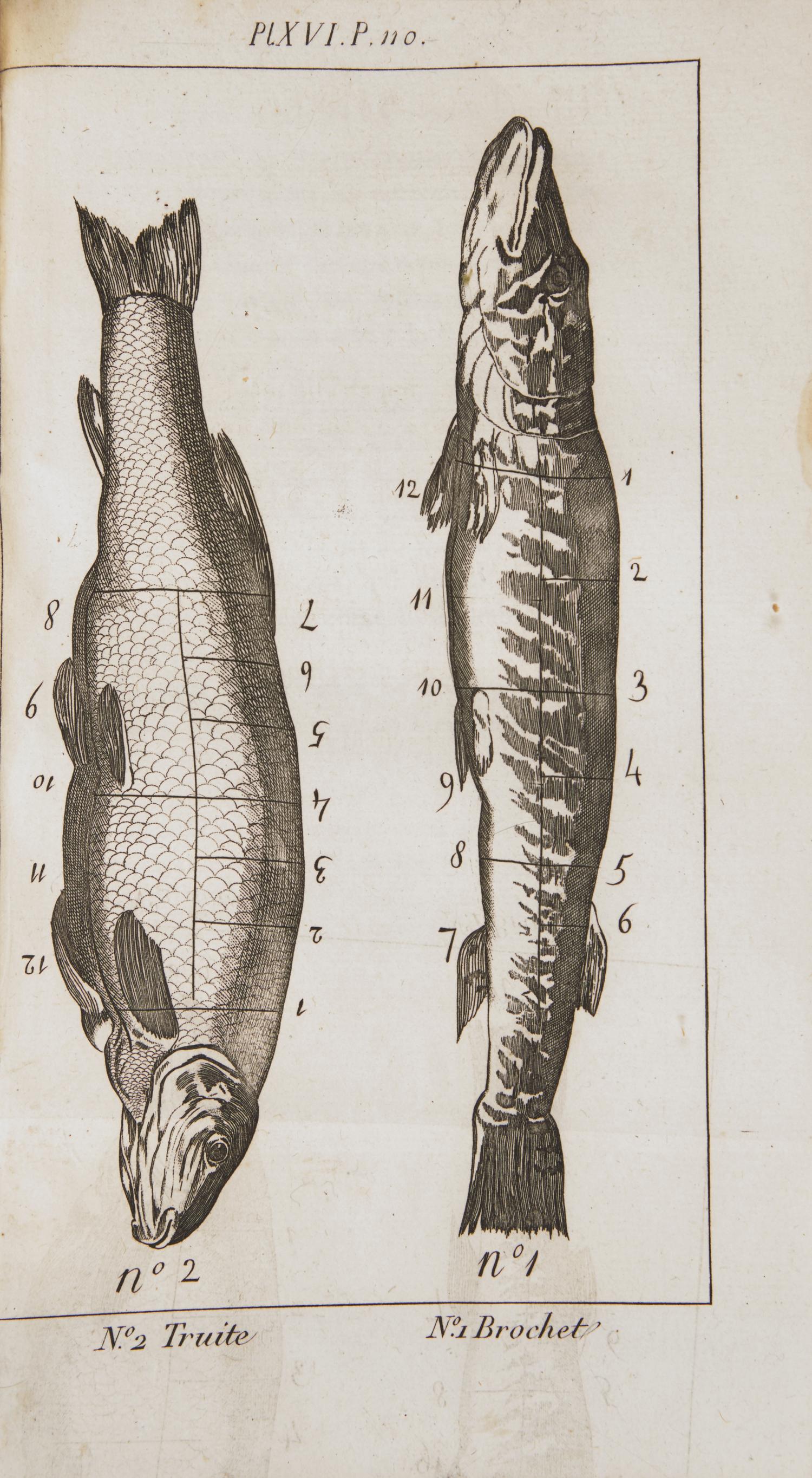 [Food & Drink] La Reyniere, Laurent Grimod de. Manuel des Amphitryons; contenant un Traite de la Dissection des viandes a table...