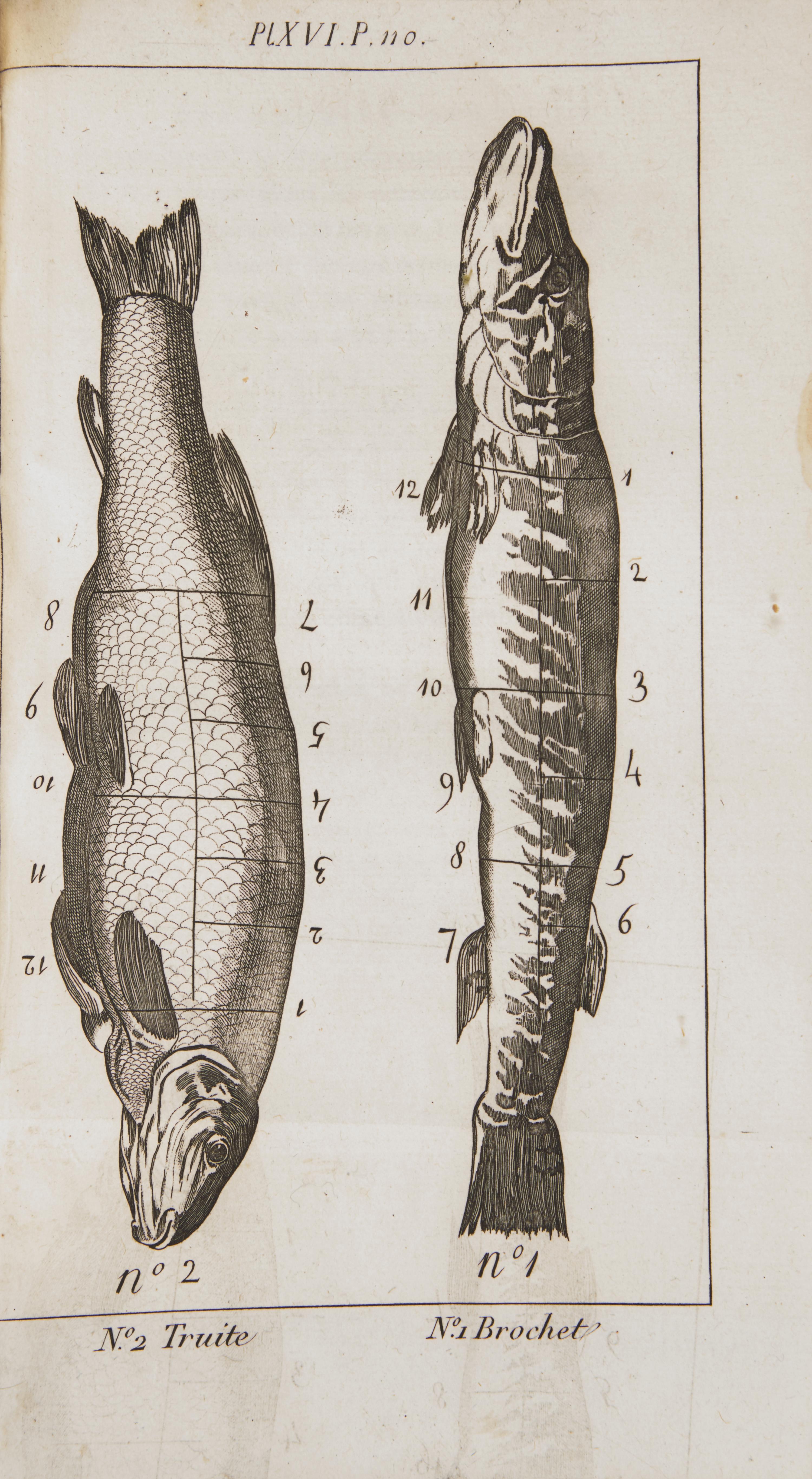 [Food & Drink] La Reyniere, Laurent Grimod de. Manuel des Amphitryons; contenant un Traite de la Dissection des viandes a table...