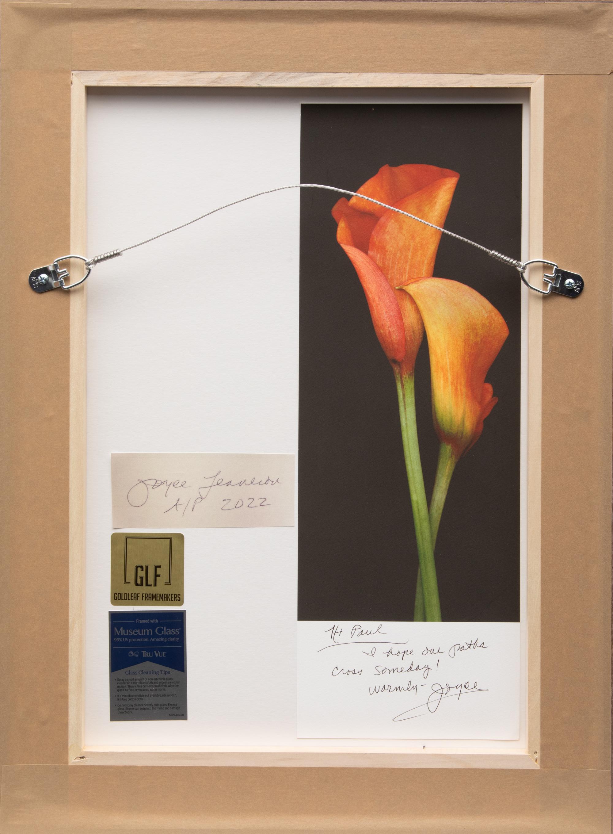 Two Joyce Tenneson Photographs