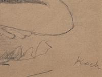 Foreshortened Figure