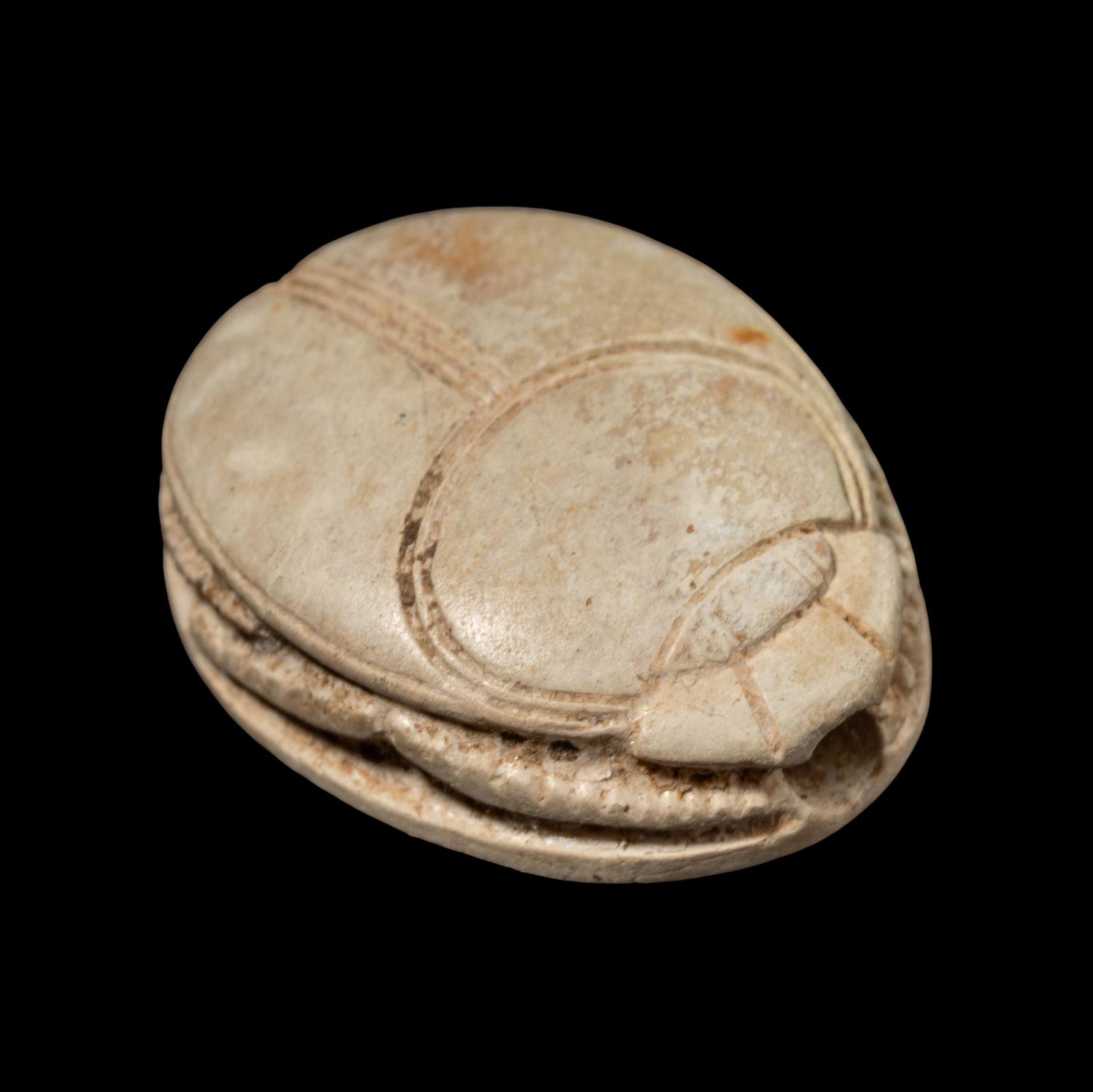 An Egyptian Faience Scarab