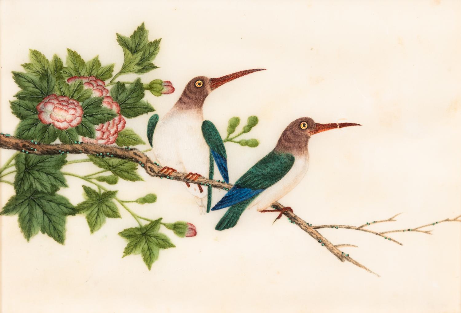 A Collection of Twelve Chinese Export Pith Paintings