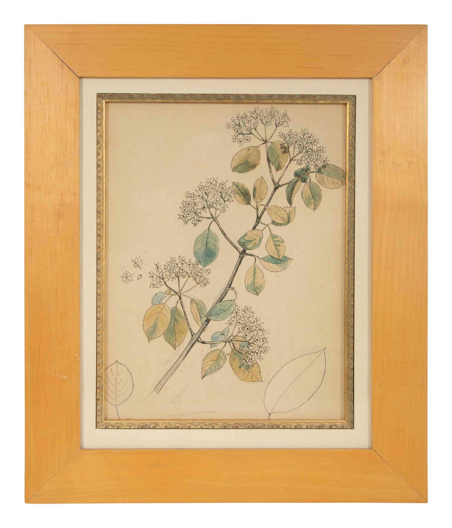 Eighteen Botanical Watercolors