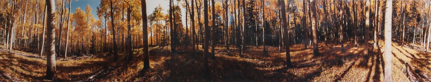 Foster, Gus (American, b. 1940) 11 3/4 x 62 3/4 inches.