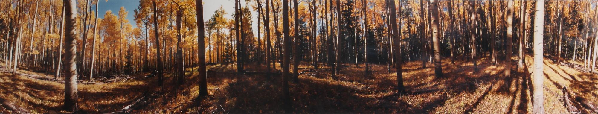 Foster, Gus (American, b. 1940) 11 3/4 x 62 3/4 inches.
