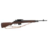 *Springfield Armory M1A
