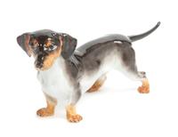 A Meissen Porcelain Figure Width 8 inches. — 20TH CENTURY