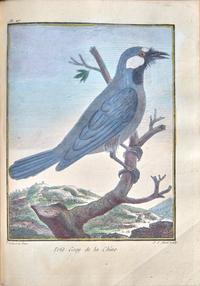 [Travel & Exploration] Sonnerat, (Pierre). Voyage aux Indes Orientales et a la Chine , Fait par ordre du Roi, depuis 1774 jusqu'en 1781...