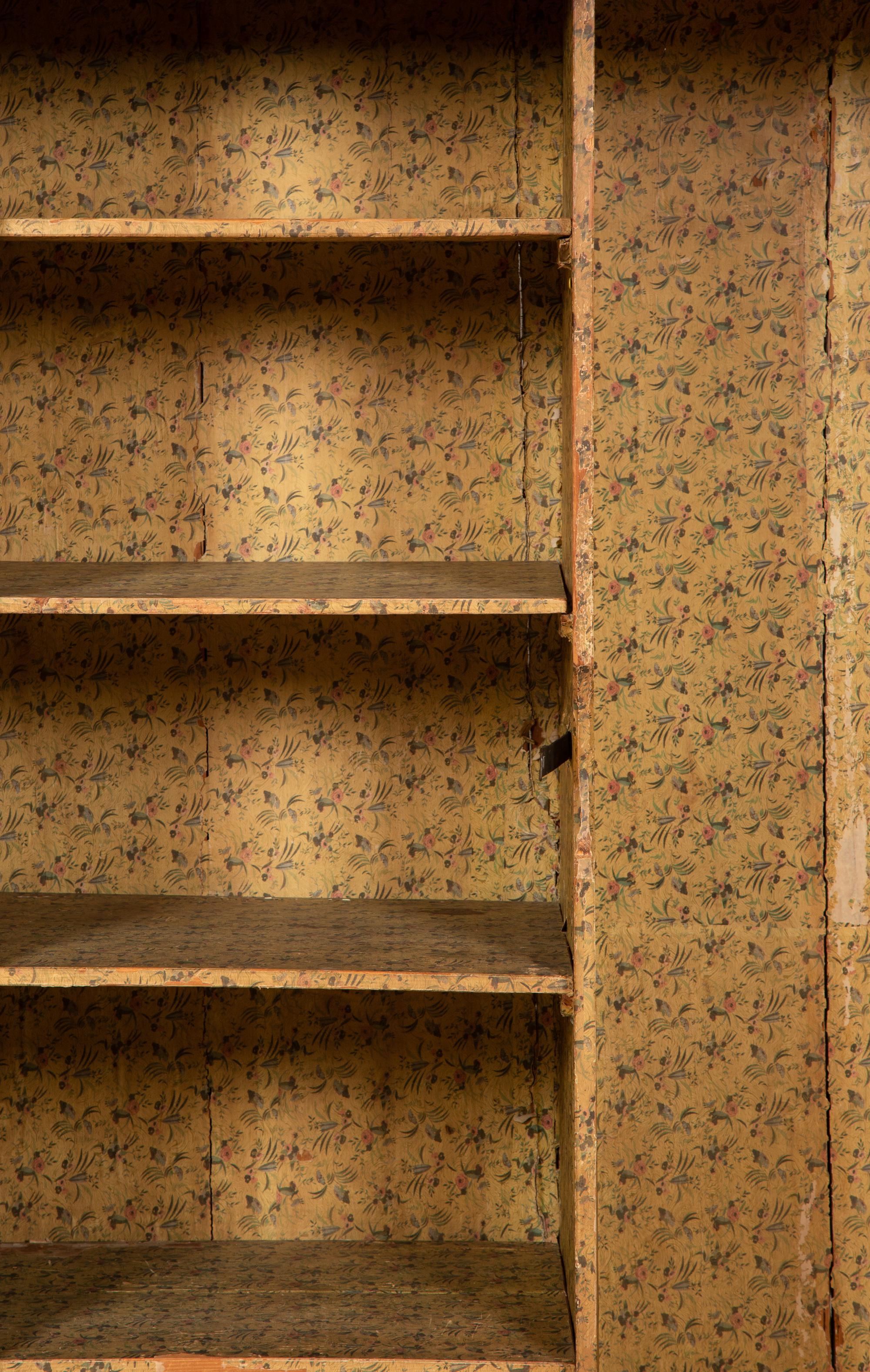 A Continental Olivewood Armoire