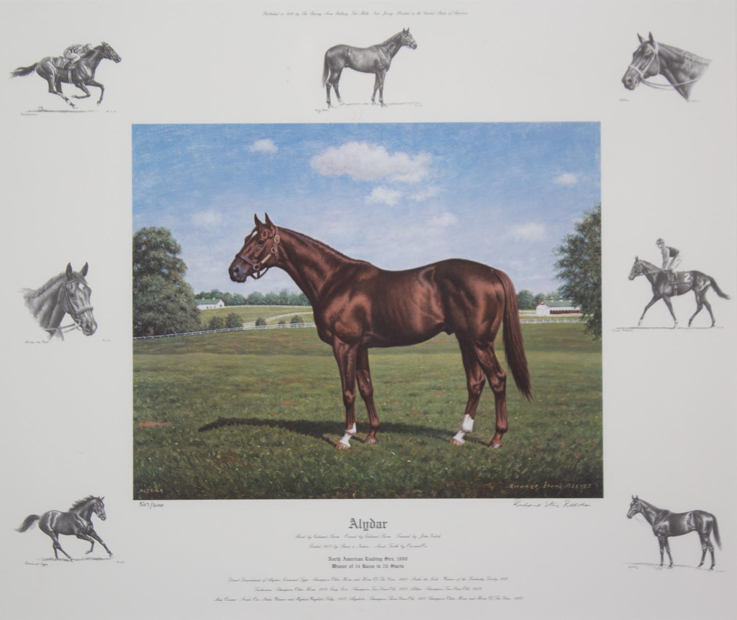Nineteen Equestrian Prints