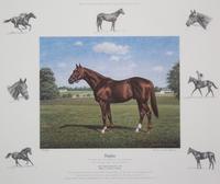 Nineteen Equestrian Prints